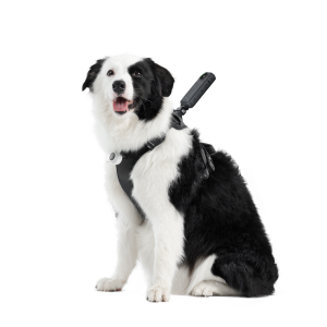Pet Harness Mount Size L - Insta360 Store