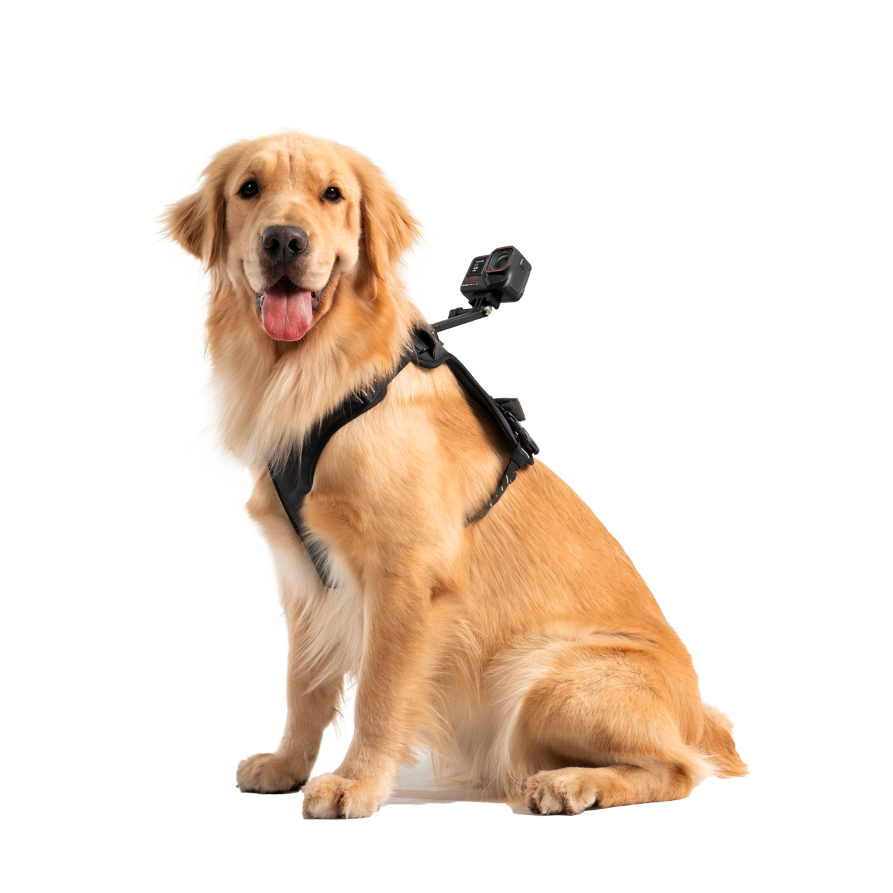 Pet Harness Mount Size L - Insta360 Store - Image 3