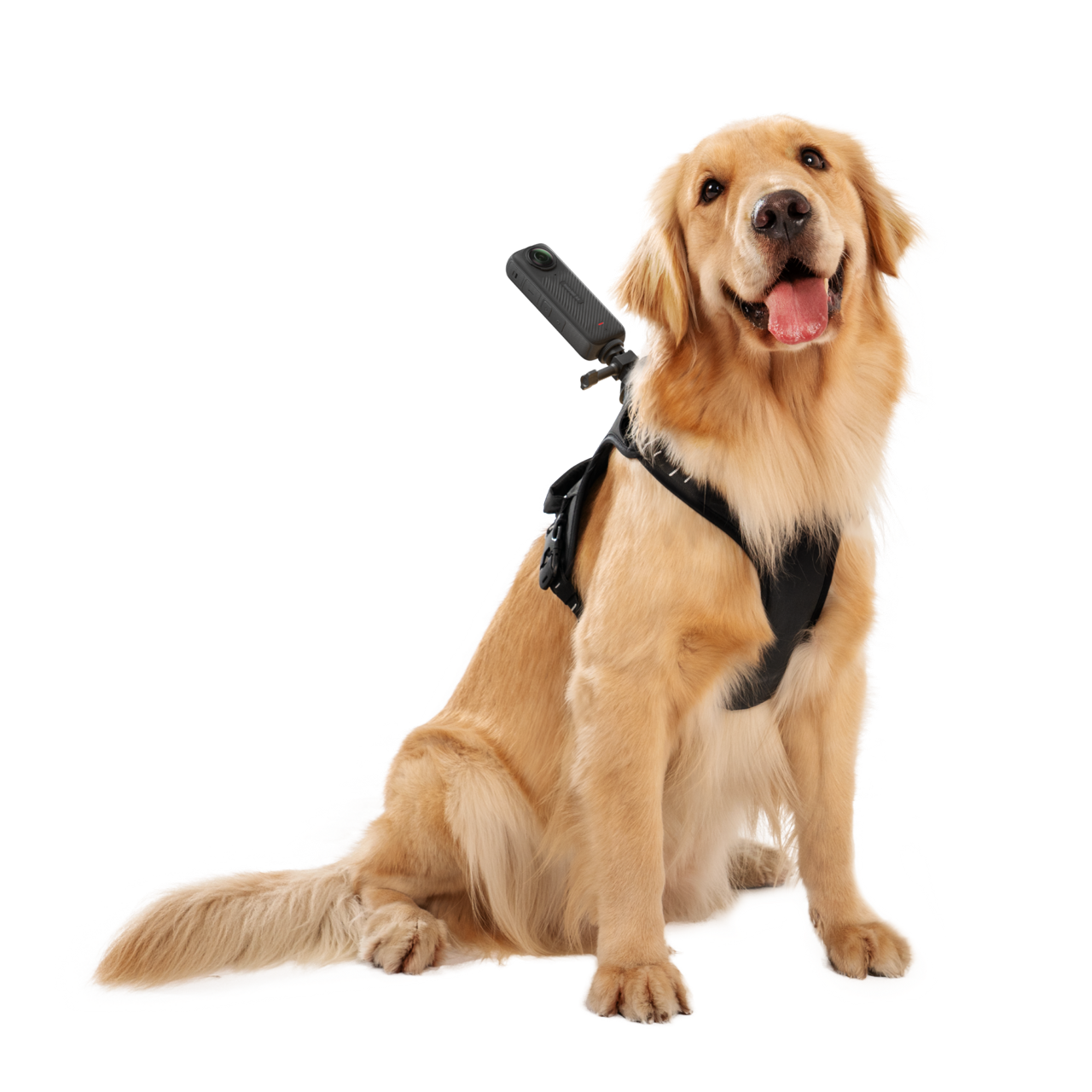 Pet Harness Mount Size L - Insta360 Store - Image 4