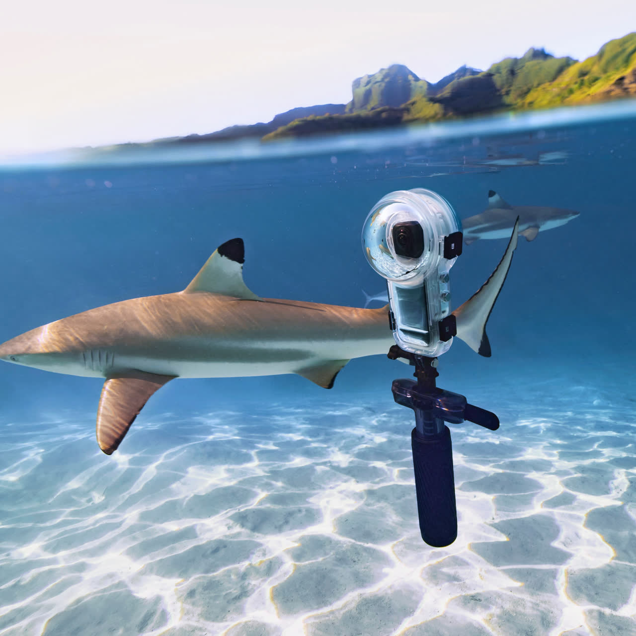X5 Series Dive Buddy - Insta360 Store - Image 6