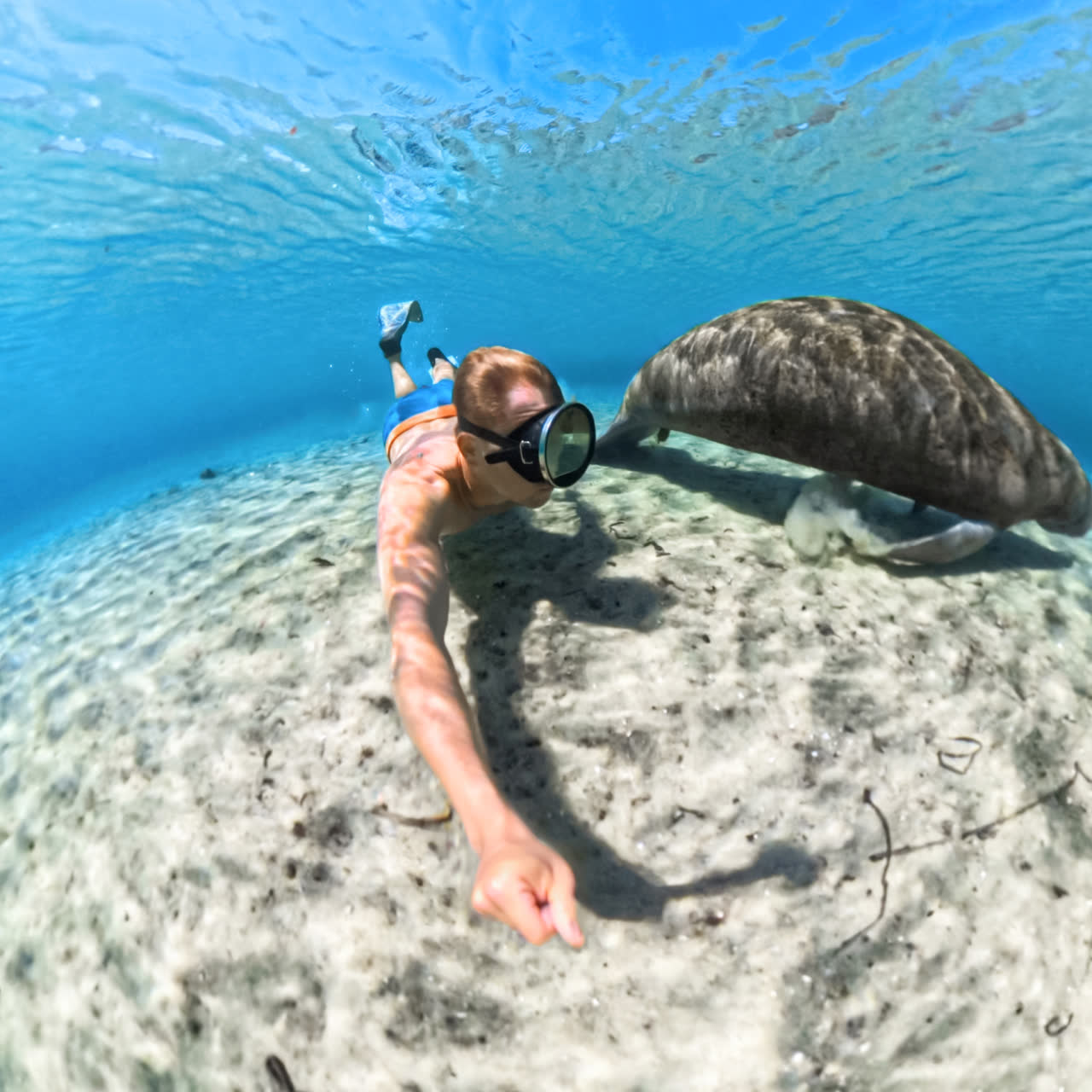 Insta360 X5 Invisible Dive Case - Insta360 Store - Image 6