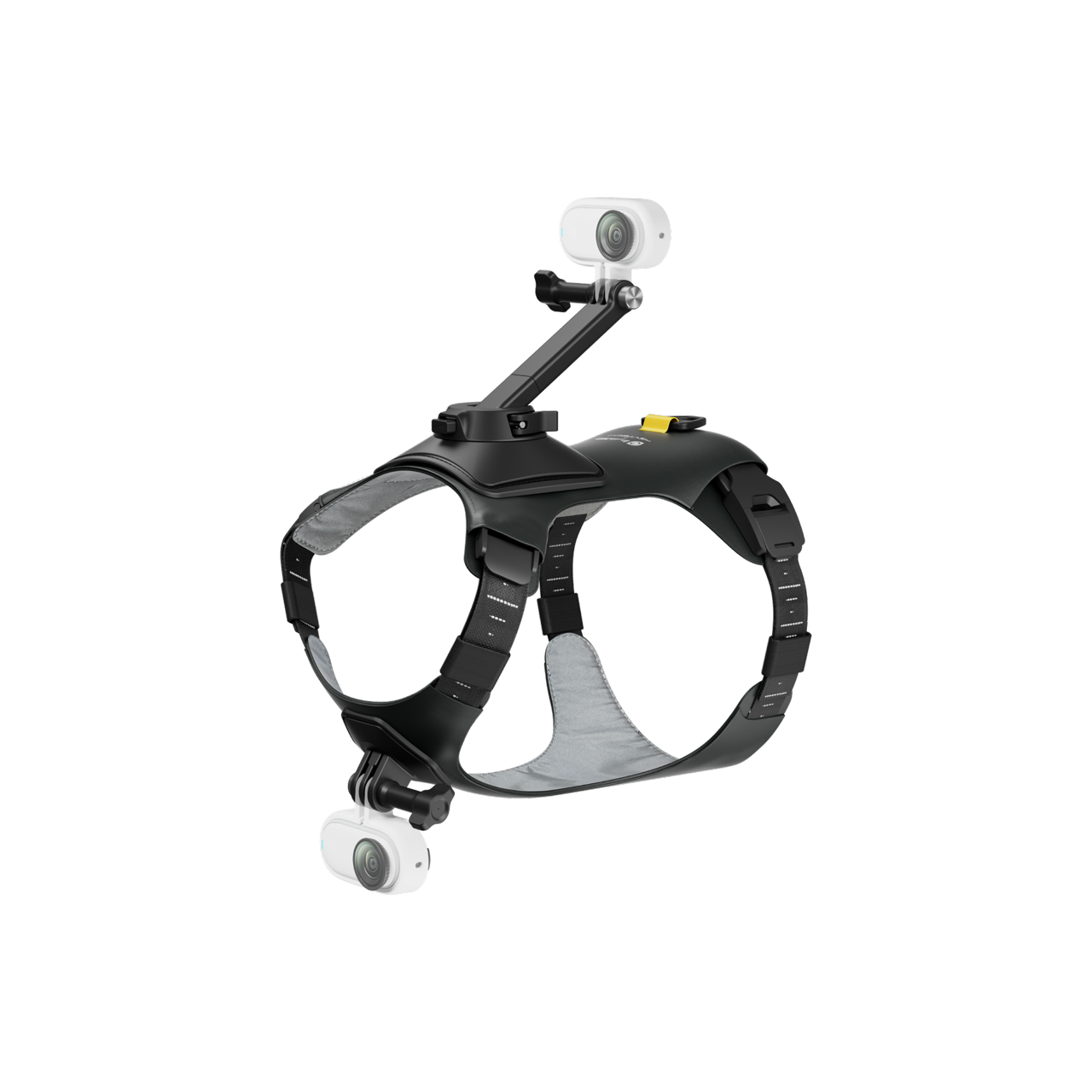 Pet Harness Mount - Accessories - Insta360 Store - Image 4