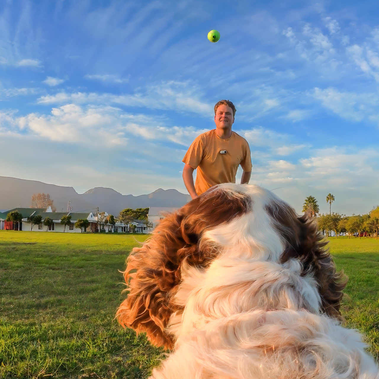 Pet Harness Mount - Accessories - Insta360 Store - Image 5